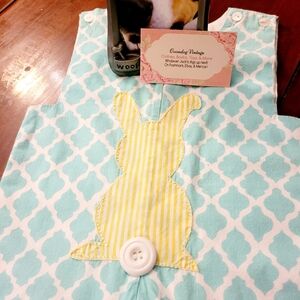 Beehave Bunny Shortall